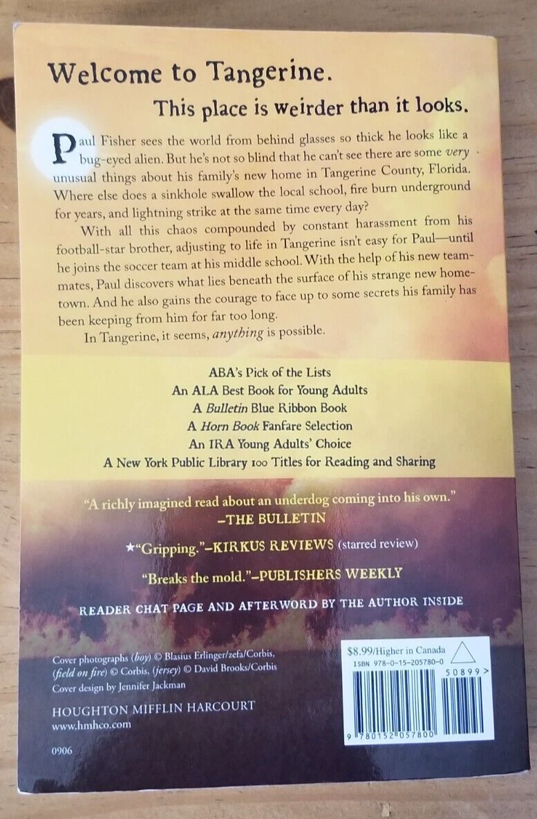 Tangerine Sinkhole Swallows School