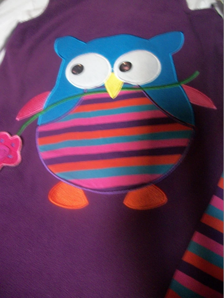 BONNIE JEAN OTOÑO TEMA BÚHO RAYAS POLAR JERSEY VESTIDO TOP LEGGINGS CONJUNTO NIÑAS 10 Foto 2 de 3