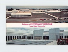 Postcard College of Veterinary Medicine Iowa State University Ames Iowa USA