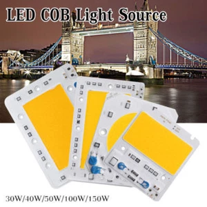 30W 50W 100W 150W LED Projecteur COB Chip 110V 220V Intelligent intégré IC Chauffeur