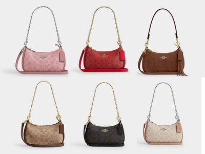 NWT coach Teri Mini Crossbody Bag In Signature Canvas cw323 | eBay