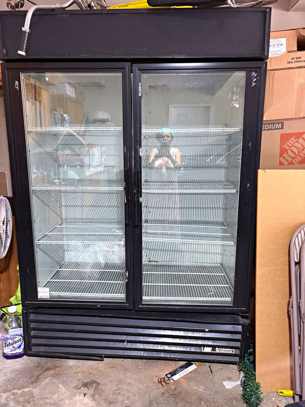 Black Double Glass 2-Door Freestanding Merchandising Refrigerator