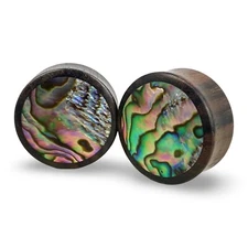 Sono Wood with Abalone Inlay Plugs set gauges PICK SIZE organic