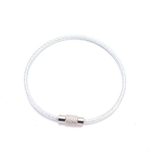 20x Stainless Steel Wire Keychain Cable Key Ring Luggage Tags Loop w/ Screw Lock - Picture 3 of 48