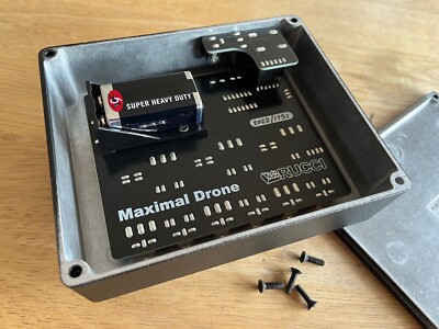 DJ機材 RUCCI Maximal Drone Maximal Drone (handmade synth, Rucci Electronics) | eBay