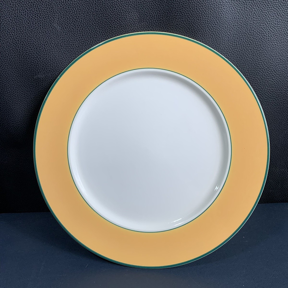 Pagnossin Ironstone Treviso Italy 12” Plate #9206, Dishwasher