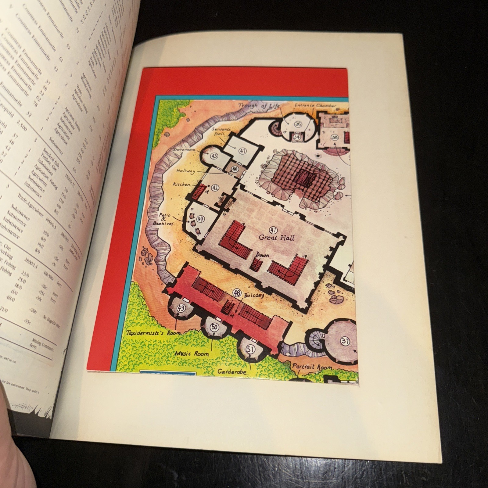 WARHAMMER Fantasy Role Play DEATH ON THE REIK Enemy Within Campaign Book w/map