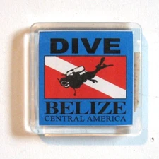 Dive Belize Souvenir Magnet Central America Diver Flag Mesoamerican Reef New