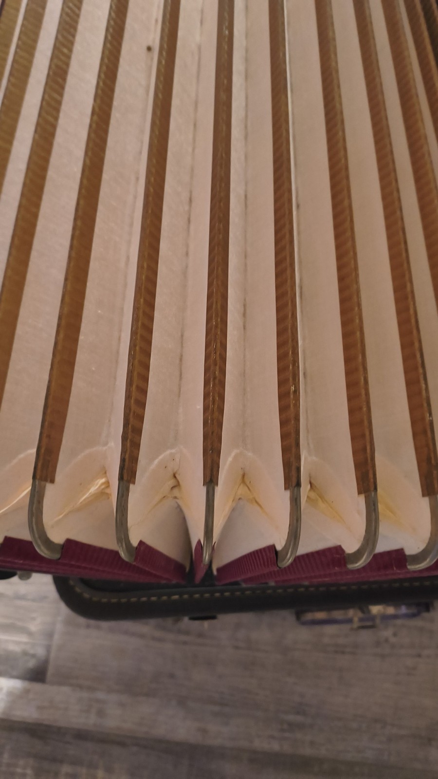 Scandalli Vintage Italian Accordian Great Shape With  Beautiful Red Velvet Case