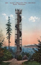 Seattle, Washington WA Gunther's Observation Tree, Lake Burlan Mitchell Vintage