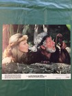 Caveman Color Movie Lobby Card Set of 8- Ringo Starr-Dennis Quaid-Nice-1981 — photo 5