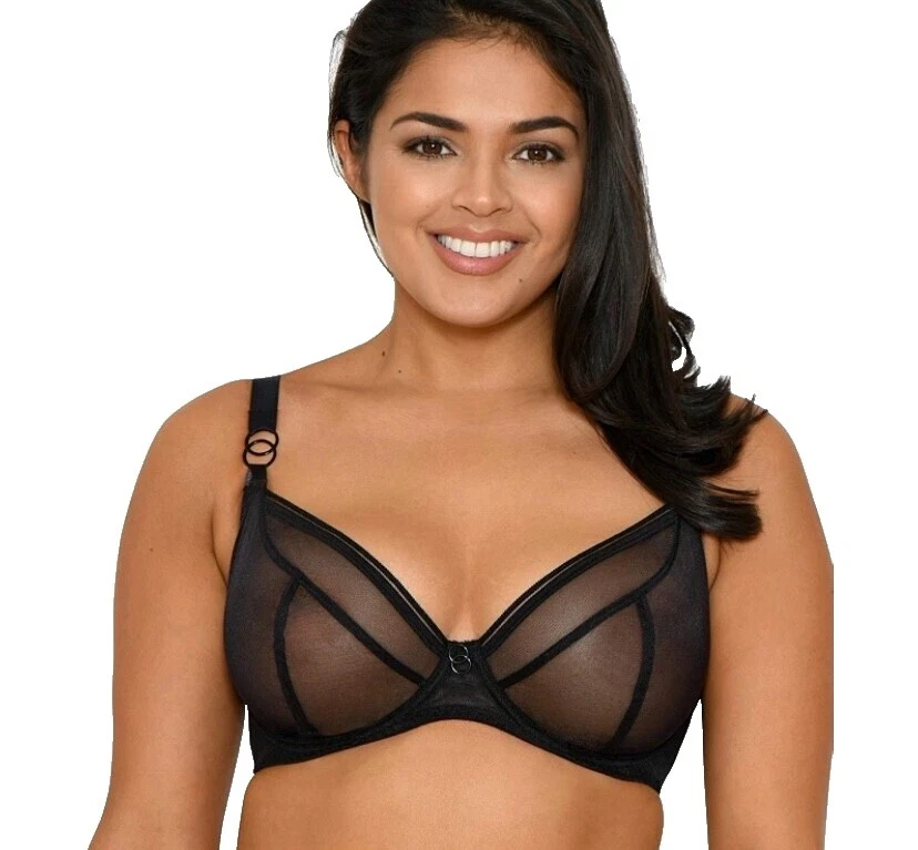Curvy Kate Women's 34 Band