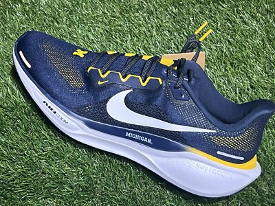 New $150 Size 14 Nike Michigan Pegasus 41 College Road Running Shoes FZ5128-400