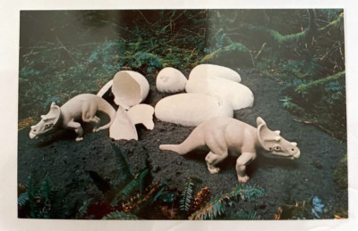 Dinosaur Eggs Prehistoric Gardens Oregon Coast Highway 101 Postcard