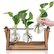 Plants Propagation Stations Hydroponic Plant Transparent 3 Bulb Vase Home Decor