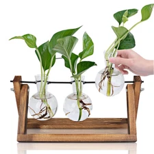 Plants Propagation Stations Hydroponic Plant Transparent 3 Bulb Vase Home Decor