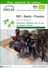 SAFLAX - BIO - Basilic - Pourpre - 400 graines - Avec substrat - Ocimum