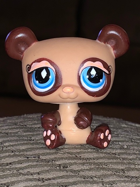 Red panda pet picture