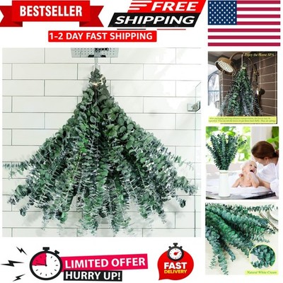 30 Natural Fresh Eucalyptus Stems Bundle - 17  Aromatherapy Shower Decor