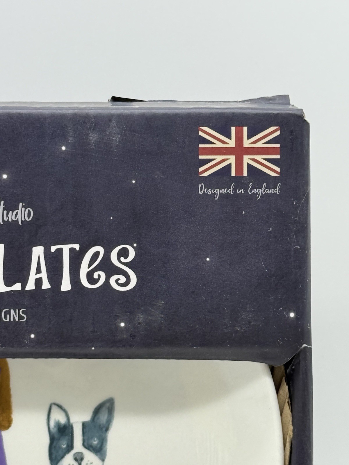 Halloween Pets in Costume Harvest Green Studio Four Luncheon Plates NIB