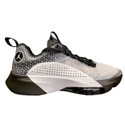 Jordan Air Zoom Renegade 