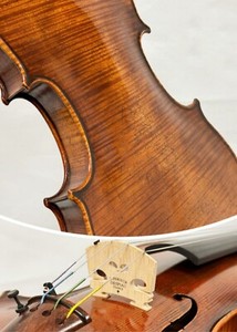 Carlo Bergonzi Violin for sale | eBay