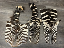 Equus Barchell genuine Zebra Skin heads
