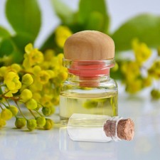 50Pcs Transparent Mini Glass Bottles with Bamboo Cork for DIY Charms
