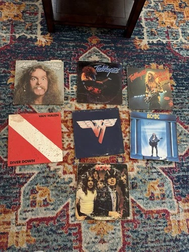 Classic Hard Rock Vinyl Lot – AC/DC, Van Halen, Ted Nugent (7 LPs)