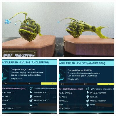 ARK ASCENDED PVE OFICIAL PAIR BABY ANGLER BATMAN TOP STATUS  PC/XBOX/PS5
