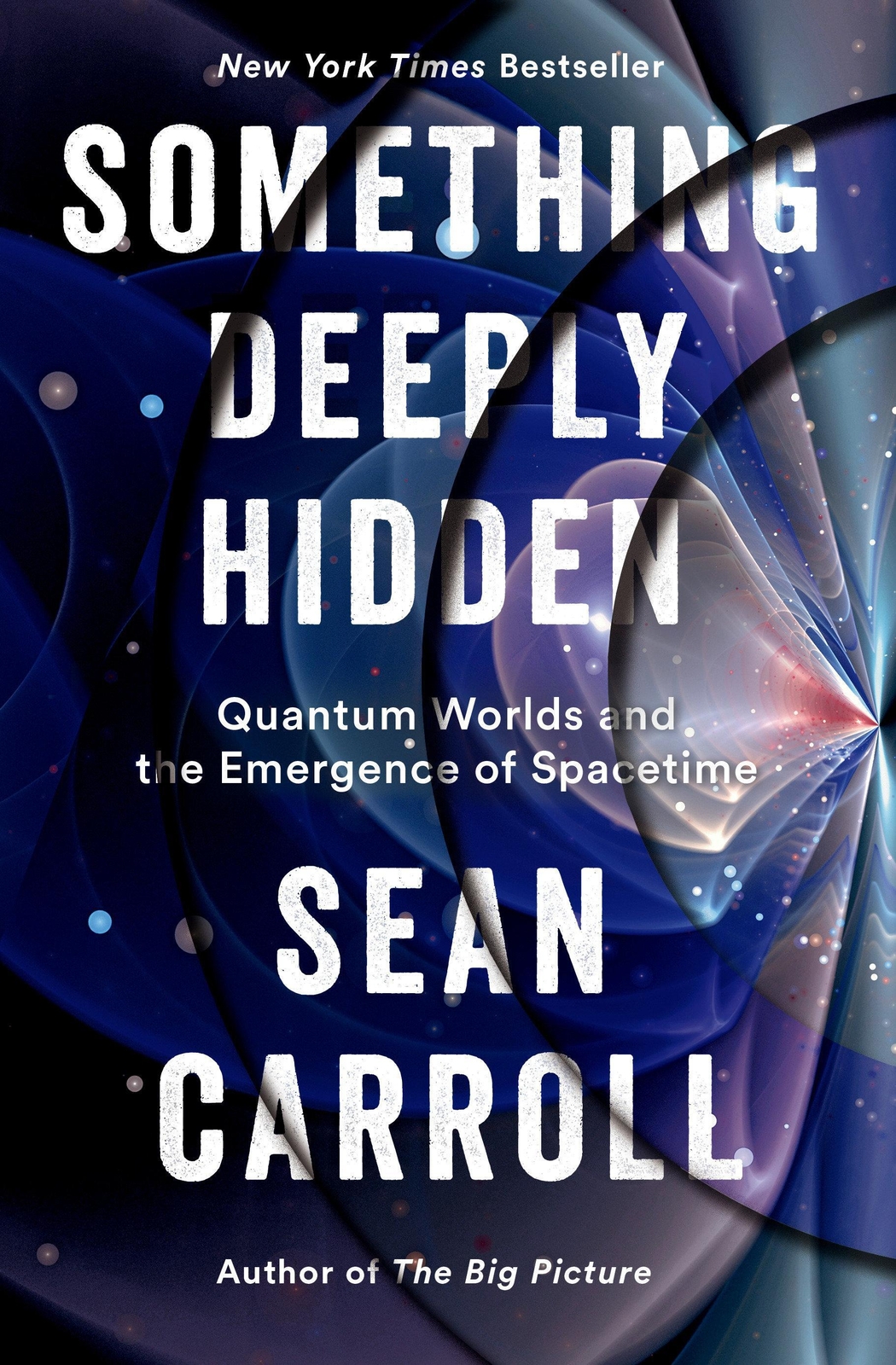 Thumbnail - Something Deeply Hidden | Sean Carroll | Buch | Englisch | 2019 |