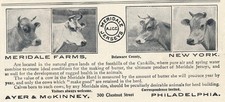 Magazine Ad - 1909 - Meridale Farms - New York - Jersey Cows