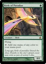 Magic MTG - Paradiesvögel - Ravnica: Die Stadt der Gilden - MINT/NMINT - DE
