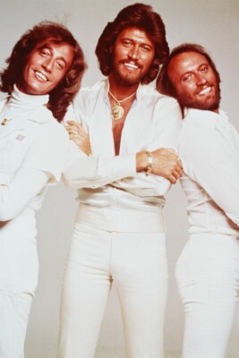THE BEE GEES 24x36 inch Poster ROBIN MAURICE BARRY GIBB SATURDAY NIGHT FEVER