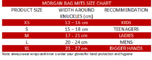 Morgan Classic Boxing Gloves Bag Mitts (In Stock) - image 2 of 2