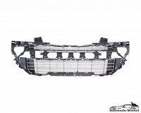 StoßStange Gitter Vorne FüR Peugeot 308 1 1.4 16V Cc Sw 07-14