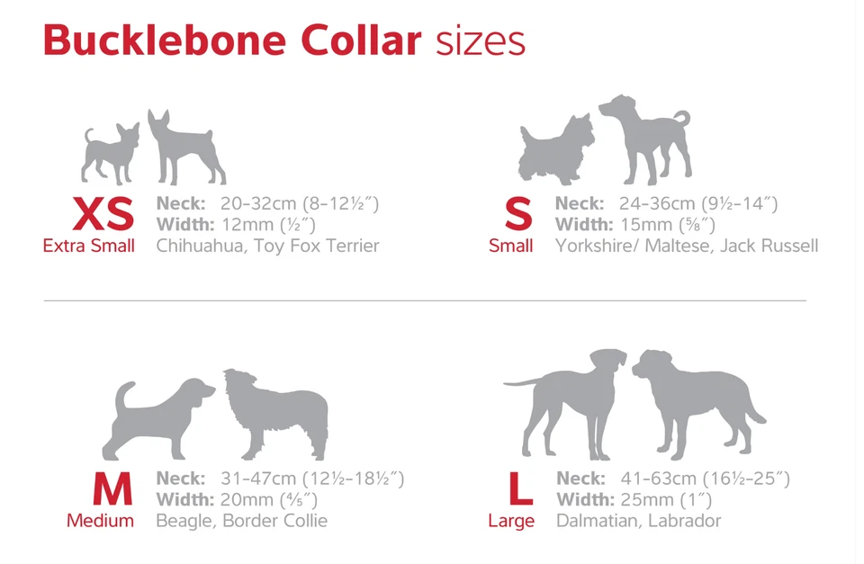 Red Dingo Reflective Collar - Flying Bones in Red Design - Image 2 of 2