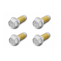 TRW Bremsscheibenschrauben (FüR: Gas Gas MC 85 19/16 Zoll 2T 22-24 Vorne )