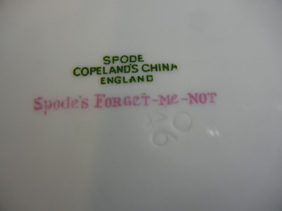 Copeland Spode Forget Me Not Y2999 Bone China Luncheon Plate(s) | eBay