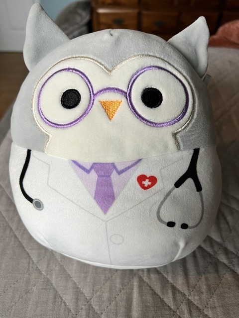 doctor owl squishmallow