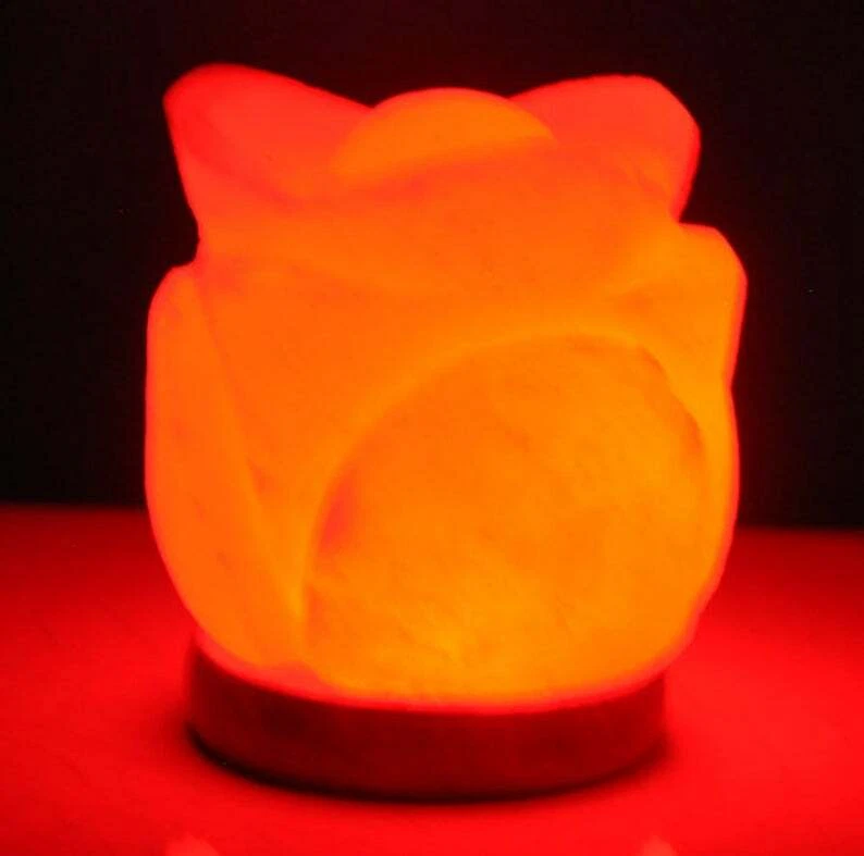 Lâmpada USB em forma de rosa salada do Himalaia, 7 lâmpadas LED que mudam várias cores - Imagem 3 de 4