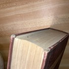 Bild 13 von 24