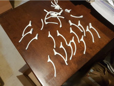 Turkey Safe Vegan or Vegetarian Wishbone 10 Pack 