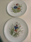 7 VTG WESTMORELAND White Milk Glass With Beaded Edging Fruits & Floral