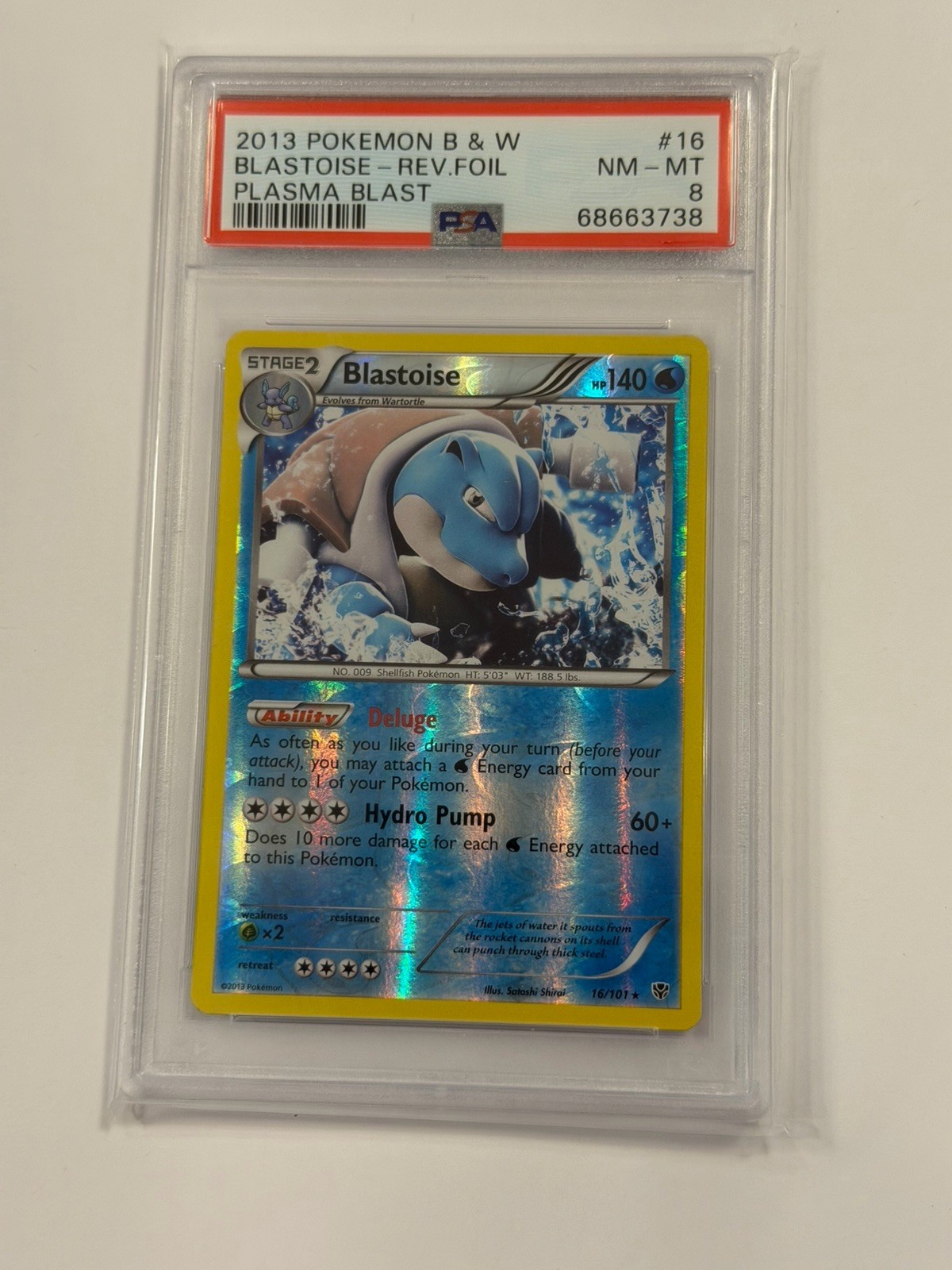 PSA 8 NM-MT Pokemon Blastoise B&W Plasma Blast Reverse Rev Holo Foil Rare #16