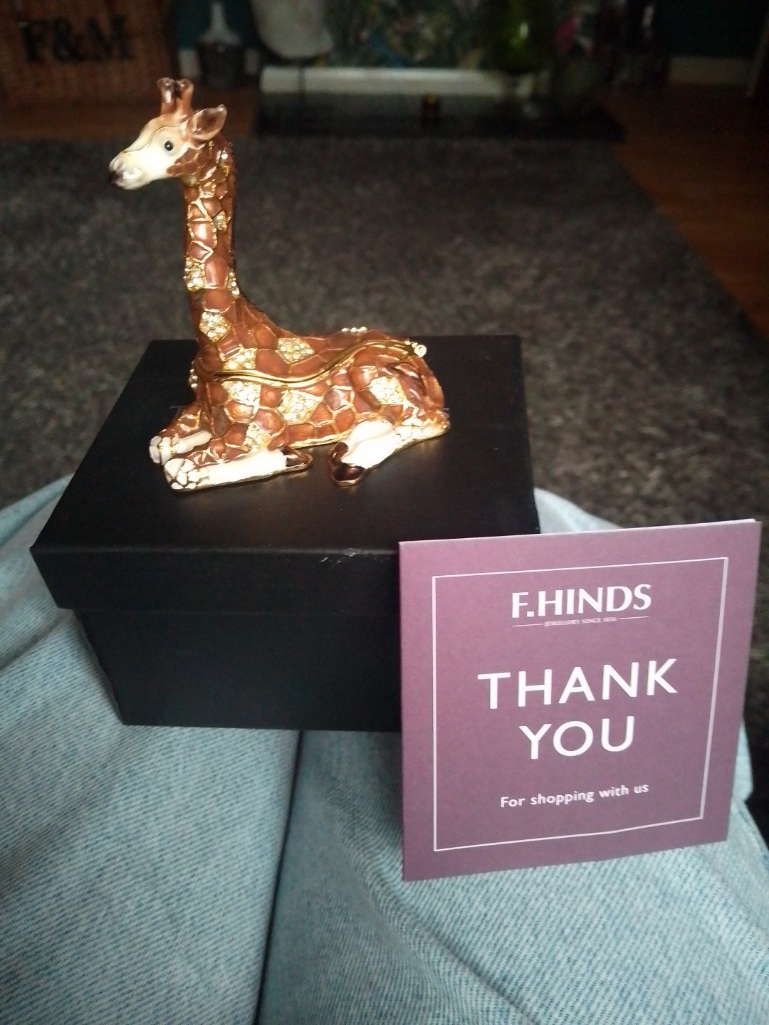 Treasured Trinkets Giraffe Ornament with Gift Box F Hinds