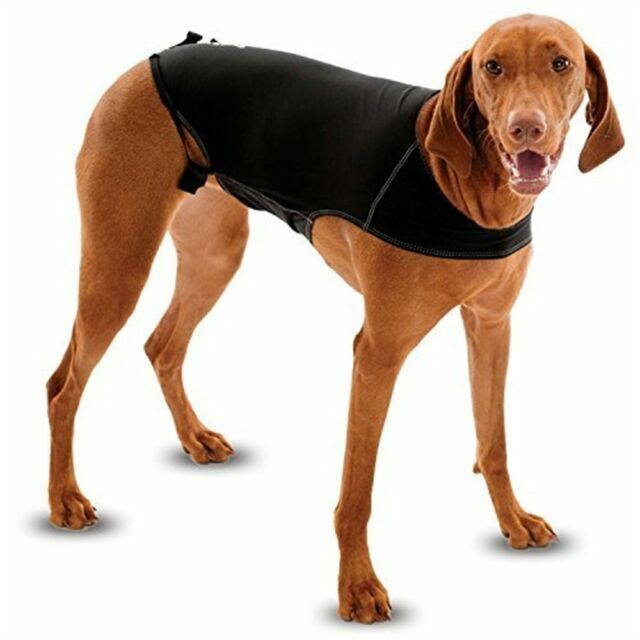 thunder wrap for dogs