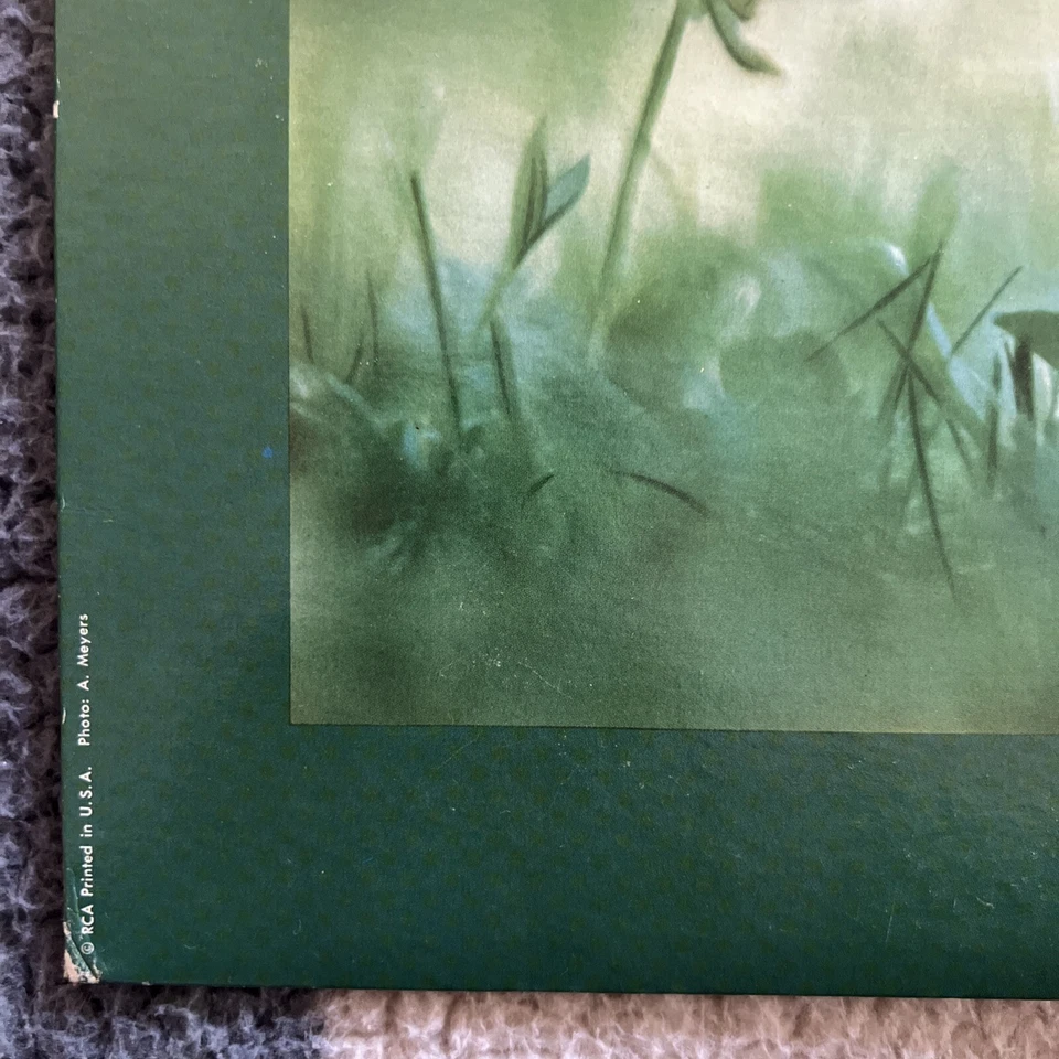 Schumann - Munch / Boston Symphony - Spring Symphony And Manfred Overture VG+/VG - Image 4 of 4