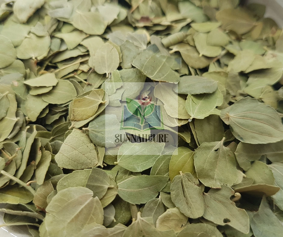SUNNAHCURE Sidr Leaves, Jujube Leaves, Ziziphus Lotus, Ziziphus Leaves, Lotus Leaves, 100g