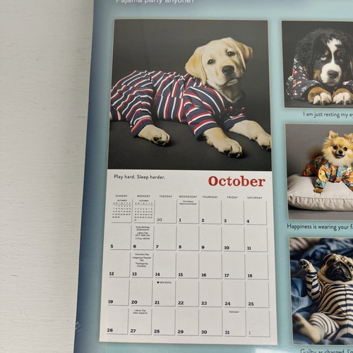 Calendario da Parete 2025 Pigiama Cuccioli di Inc Sellers Editoria 12x12 16 Mesi Nuovo Sigillo - Foto 6 di 8